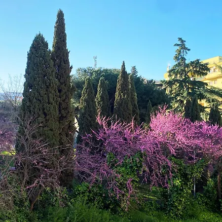 Apartament Casa Coco Marico